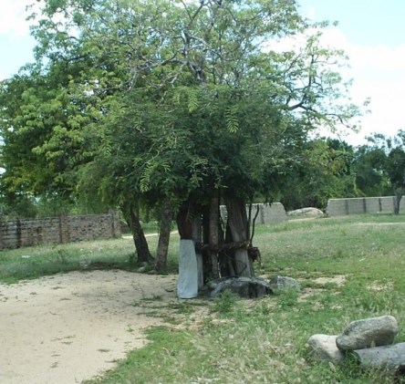 an gaha.jpg
